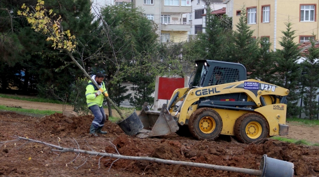 Gebze Gaziler Dağı, Büyükşehir fidanları ile yeşerecek