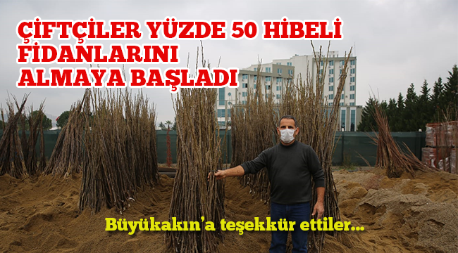 Çiftçiler yüzde 50 hibeli fidanları almaya başladı