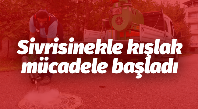 Sivrisinekle kışlak mücadele başladı