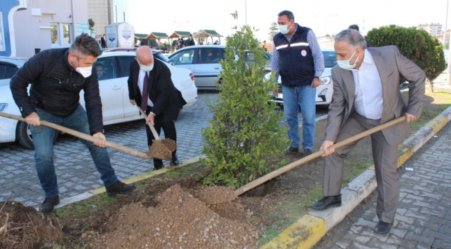 Darıca Farabi'de ağaçlandırma çalışmaları sürüyor