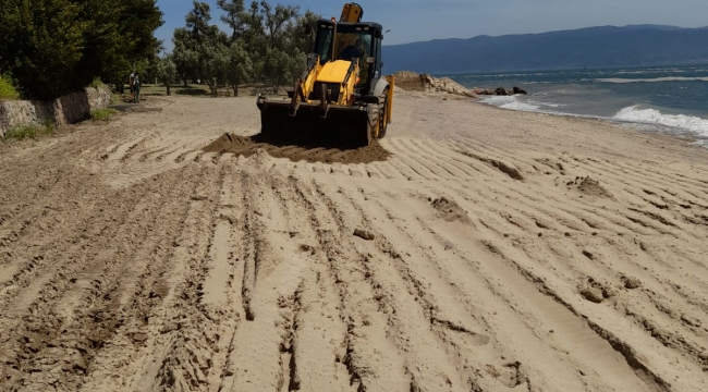 Kandıra'dan alınan kumlar Darıca'daki plajlara seriliyor