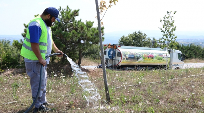 Ağaçlara can suyu Büyükşehir'den