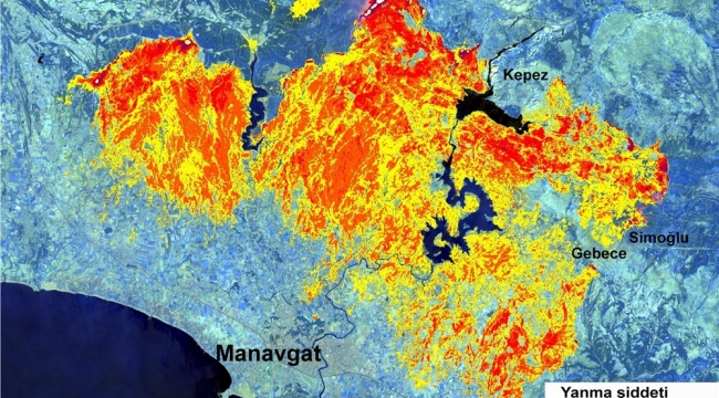 GTÜ orman yangınlarının etkili olduğu alanları haritalandırdı 