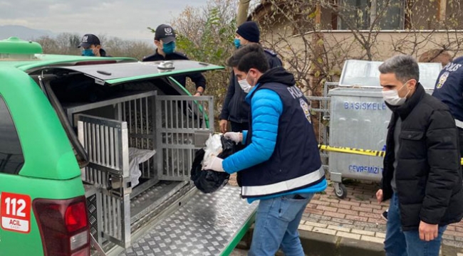 Kocaeli'de çöp konteynerinin kenarında ölü kedi ve köpekler bulundu