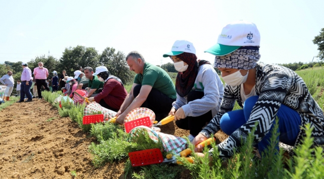 Büyükşehir'den Kocaeli'ye insan odaklı hizmet