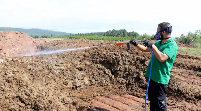 Kocaeli'de kurban pazar yerleri ilaçlanıyor