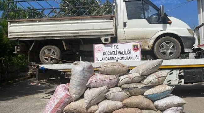 3 çocuk 1 ton fındık çaldı