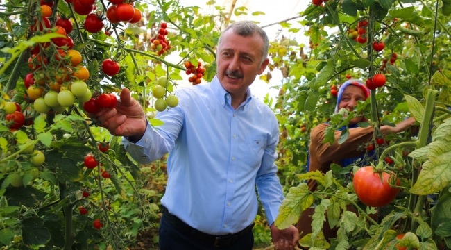 Büyükakın: Üretimi destekliyoruz bereketini topluyoruz