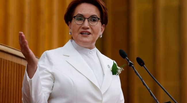 Meral Akşener, 15 Ocak'ta Kocaeli'ye gelecek