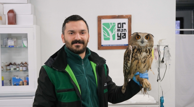 Binlerce yaban hayvanı hayata döndürüldü