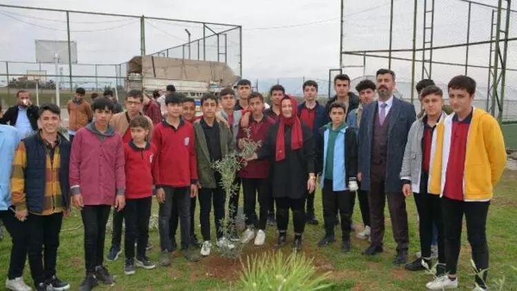 Kocaeli'den Silopi'deki öğrenciler yararına zeytin ağacı