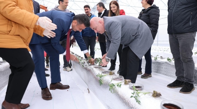 Bu proje Türkiye'de ilk... Darıca'da organomineral hidroponik sistem sera kurulumu yapıldı