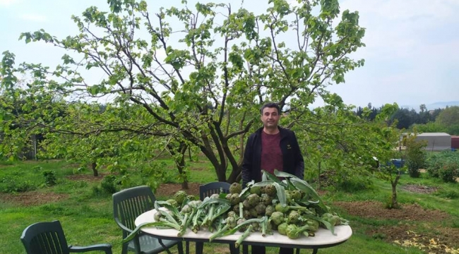 Kaymakam Kara, Darıca Enginarı'na büyük önem veriyor