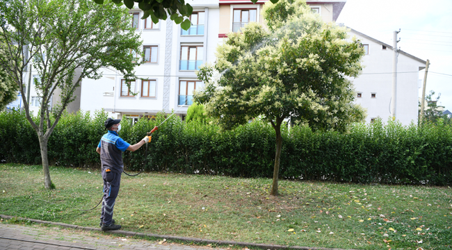 Çayırova'da mesire alanları ve parklar ilaçlanıyor