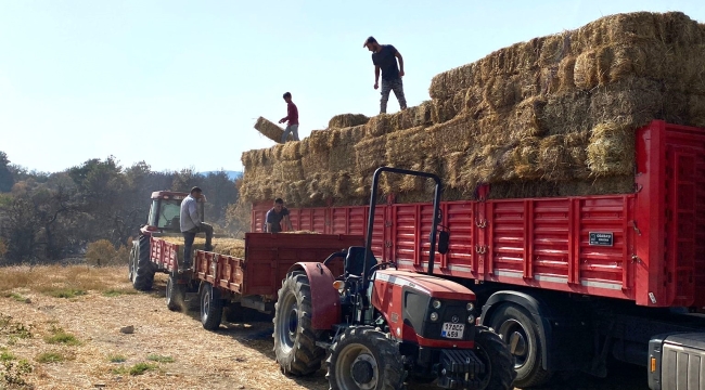 Kocaeli'den Çanakkale'deki yangın mağduru çiftçilere destek