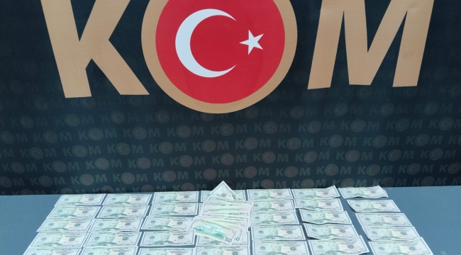 Sahte ABD Doları ile dolandırıcılık yapan 3 kişi Darıca'da yakalandı