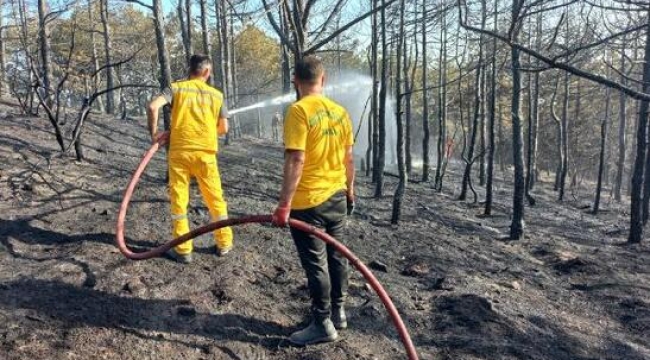 Gebze'de 2 dönüm orman yandı