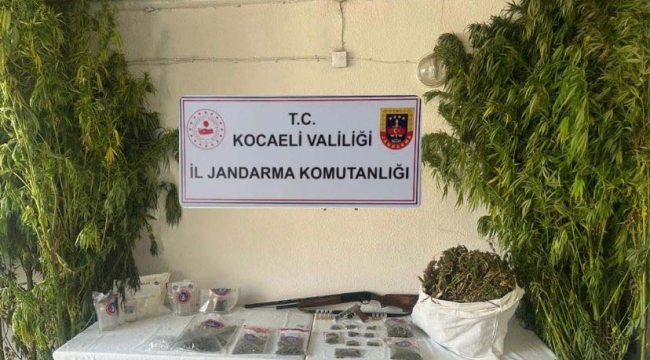 Kocaeli'de 3 ilçede uyuşturucu tacirlerine operasyon