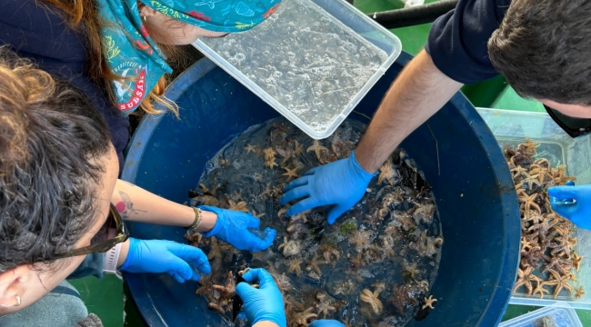 Biyoçeşitlilikte Ekim ayı araştırması tamam