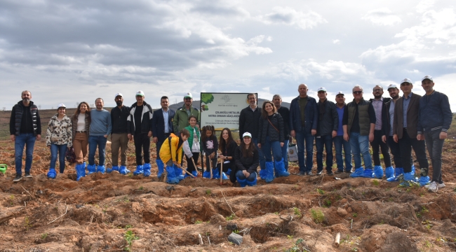 Çolakoğlu Metalurji "Her Bin Ton Bir Ağaç" Projesiyle Geleceğe Yeşil Bir Miras Bırakıyor