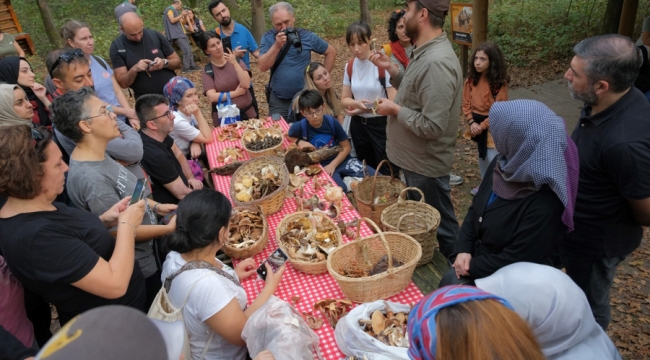 Ormanya'da mantar avı düzenlendi