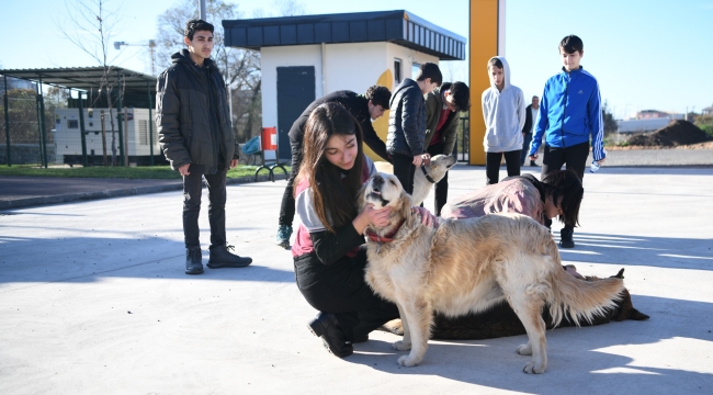 Öğrenciler, Sokak Hayvanları Bakımevi'ni gezdi