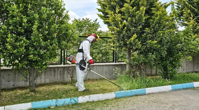 Dilovası'nda Yaz Temizliği Başladı