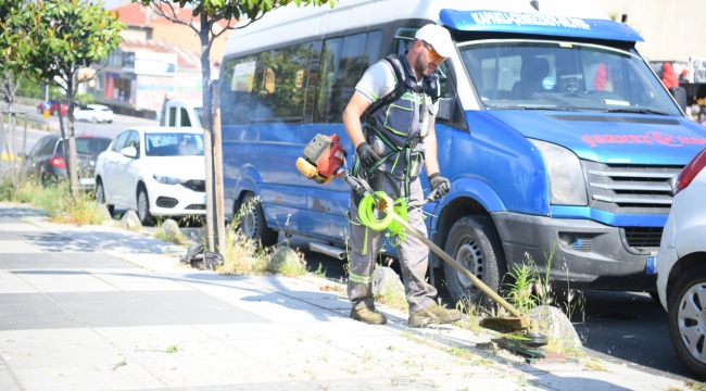 Yeşil alanlarda bakım, budama ve ot biçme çalışmaları