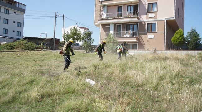 Çayırova'da yabani ot temizliği sürüyor