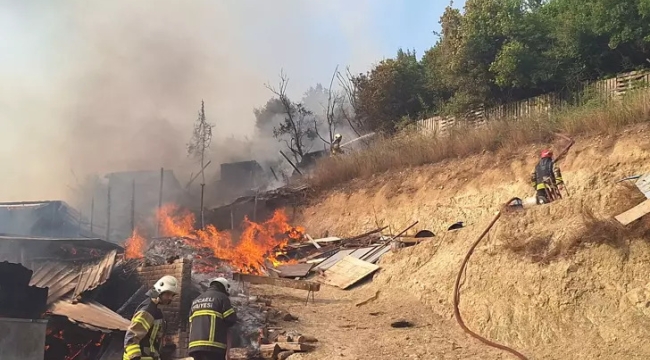 Kocaeli'de ahır yangını; 13 hayvan öldü