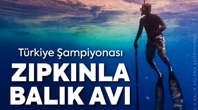 Darıca'da Zıpkınla Balık Avı Şampiyonası heyecanı yaşanacak