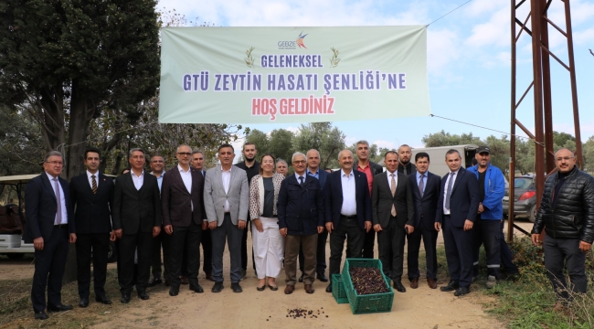 GTÜ'de 4. geleneksel zeytin hasadı şenliği gerçekleştirildi