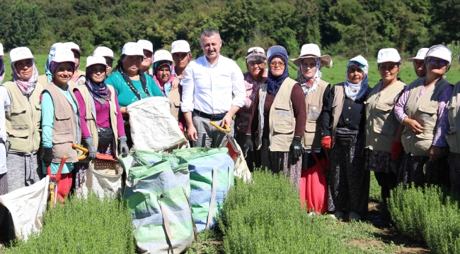 TABİP'te 2024 üretim sezonu tamamlandı