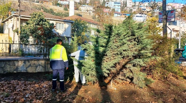 Dilovası'nda park ve bahçelerde kış bakımı çalışmaları devam ediyor