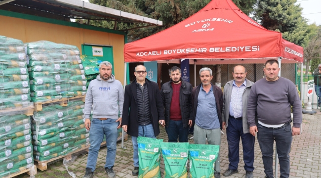 Kocaeli'de 56 bin dekar mısır tarlası desteklenecek