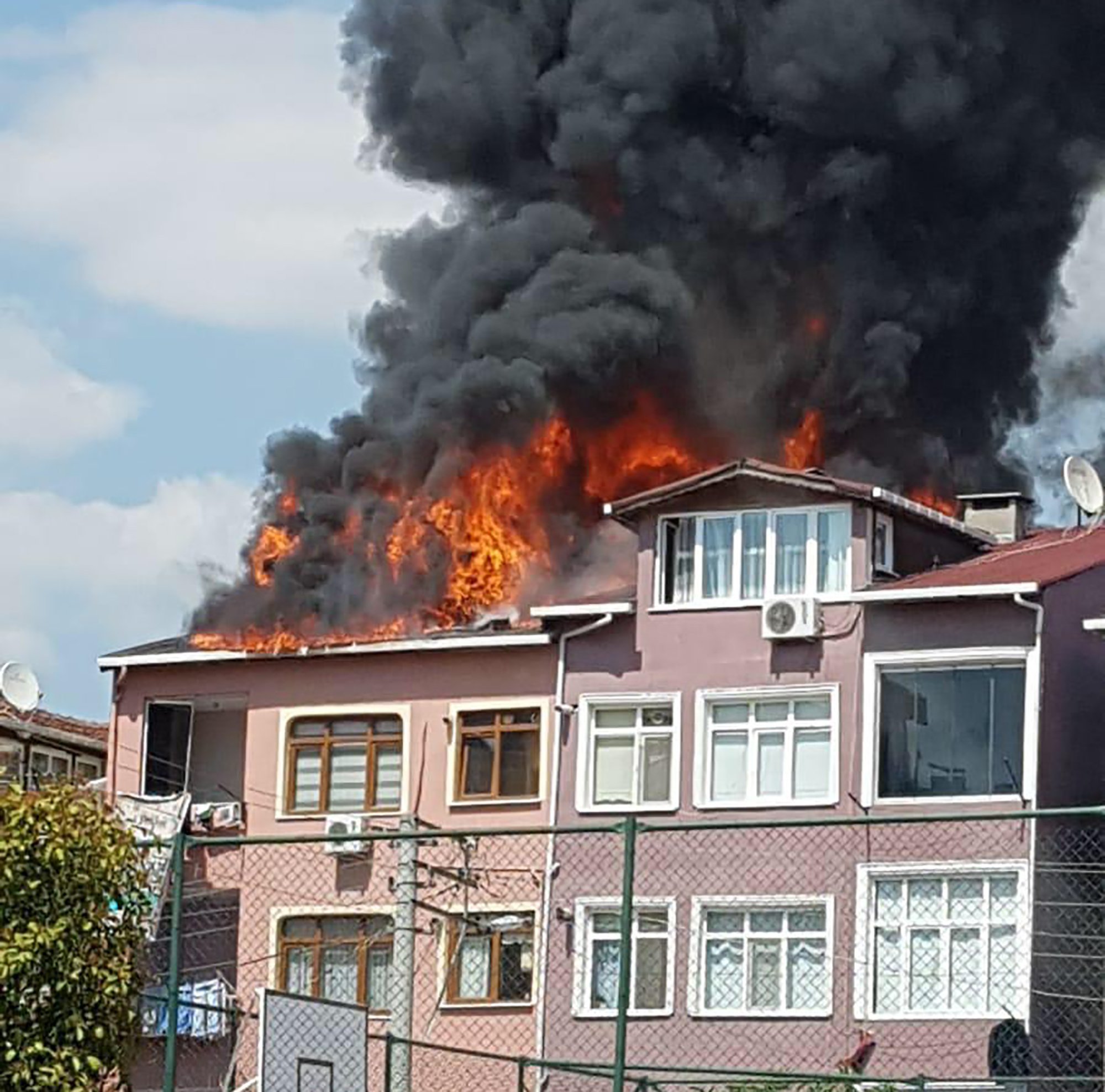 Kedi yavruları için mahalleyi yakacaklardı