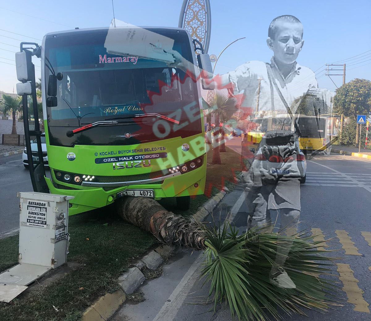 Halk Otobüsü, ağaç devirdi